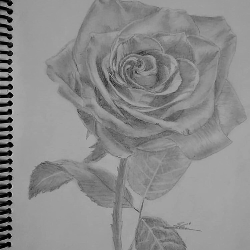 Meet your Posher, Shima